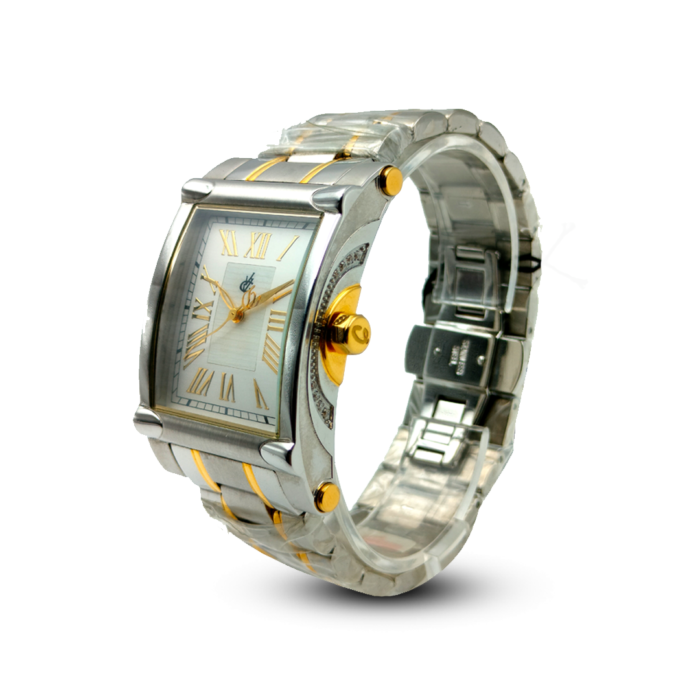 Vincent Van Gogh Solid Stainless Steel Gold & Silver Color Watch For Men